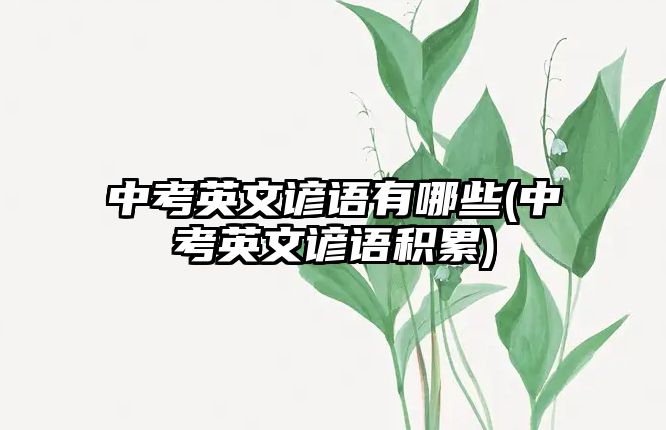 中考英文諺語有哪些(中考英文諺語積累)