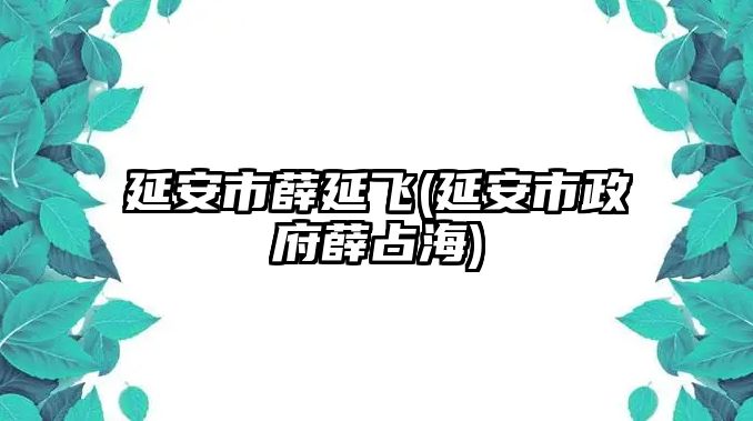 延安市薛延飛(延安市政府薛占海)