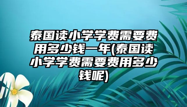 泰國讀小學學費需要費用多少錢一年(泰國讀小學學費需要費用多少錢呢)