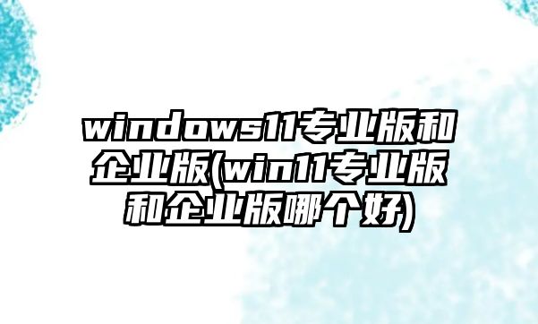 windows11專業(yè)版和企業(yè)版(win11專業(yè)版和企業(yè)版哪個(gè)好)