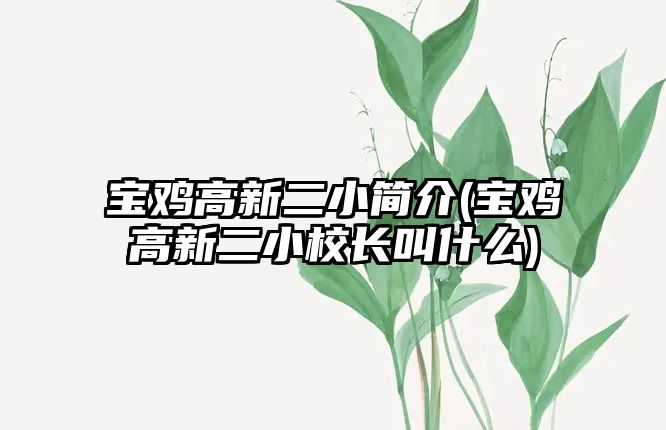 寶雞高新二小簡介(寶雞高新二小校長叫什么)