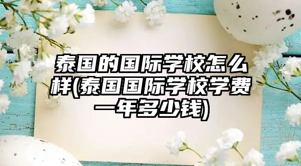 泰國的國際學(xué)校怎么樣(泰國國際學(xué)校學(xué)費一年多少錢)