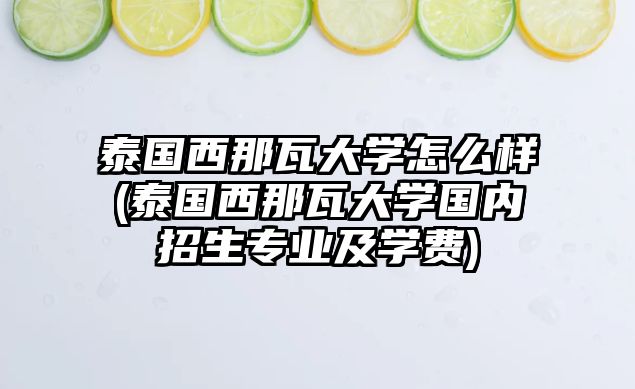 泰國西那瓦大學(xué)怎么樣(泰國西那瓦大學(xué)國內(nèi)招生專業(yè)及學(xué)費(fèi))