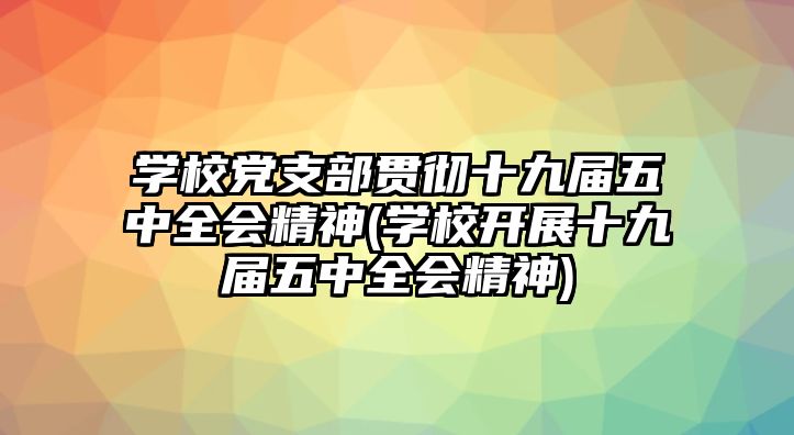 學(xué)校黨支部貫徹十九屆五中全會精神(學(xué)校開展十九屆五中全會精神)