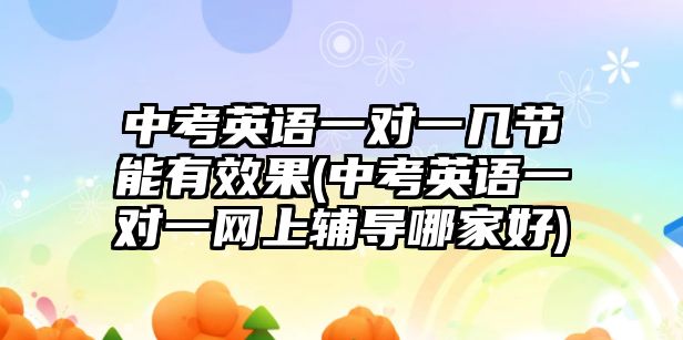 中考英語一對一幾節(jié)能有效果(中考英語一對一網(wǎng)上輔導(dǎo)哪家好)