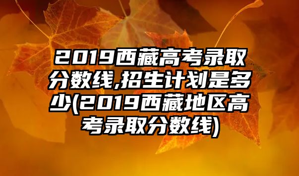 2019西藏高考錄取分數(shù)線,招生計劃是多少(2019西藏地區(qū)高考錄取分數(shù)線)