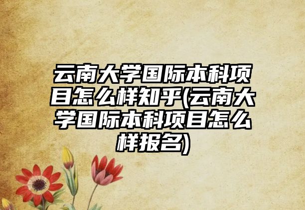 云南大學國際本科項目怎么樣知乎(云南大學國際本科項目怎么樣報名)