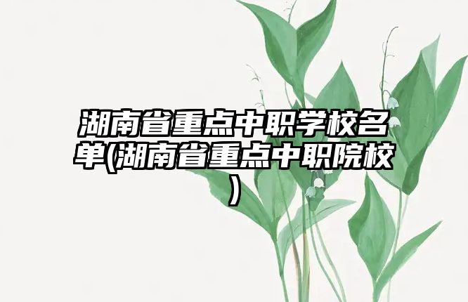 湖南省重點中職學校名單(湖南省重點中職院校)