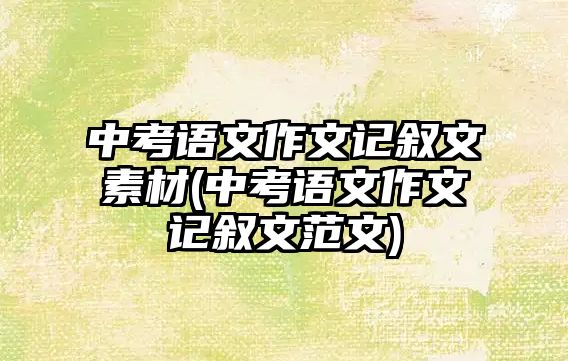 中考語文作文記敘文素材(中考語文作文記敘文范文)