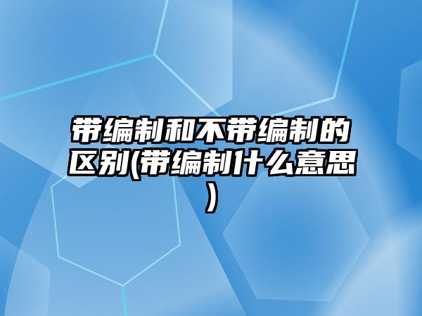 帶編制和不帶編制的區(qū)別(帶編制什么意思)