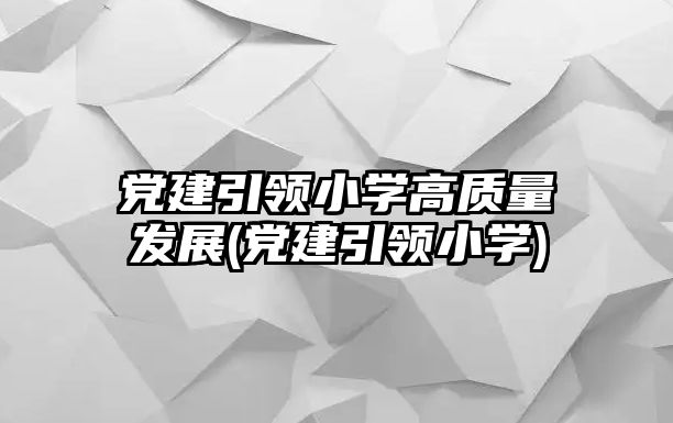 黨建引領(lǐng)小學高質(zhì)量發(fā)展(黨建引領(lǐng)小學)