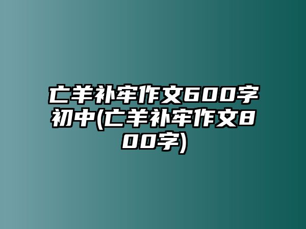 亡羊補牢作文600字初中(亡羊補牢作文800字)