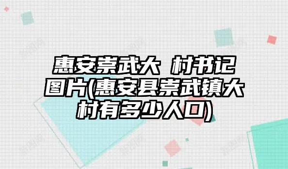 惠安崇武大岞村書記圖片(惠安縣崇武鎮(zhèn)大岞村有多少人口)