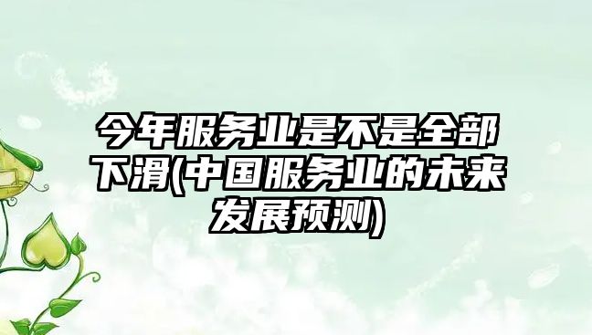 今年服務(wù)業(yè)是不是全部下滑(中國(guó)服務(wù)業(yè)的未來(lái)發(fā)展預(yù)測(cè))