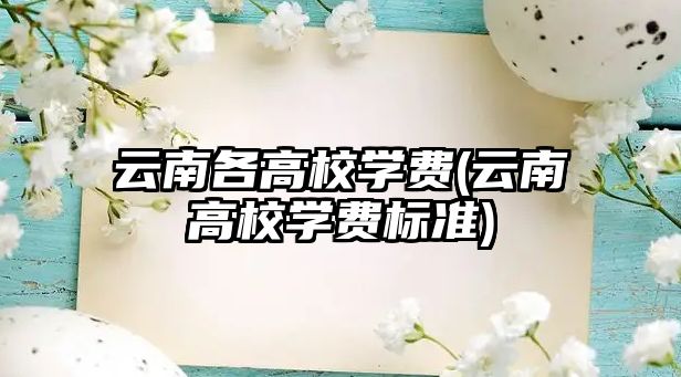 云南各高校學費(云南高校學費標準)