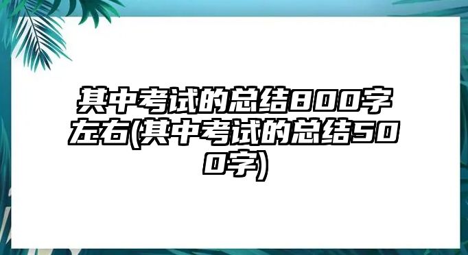 其中考試的總結(jié)800字左右(其中考試的總結(jié)500字)