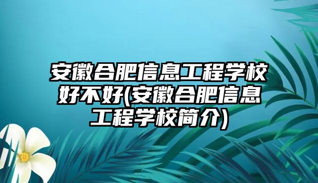 安徽合肥信息工程學(xué)校好不好(安徽合肥信息工程學(xué)校簡(jiǎn)介)