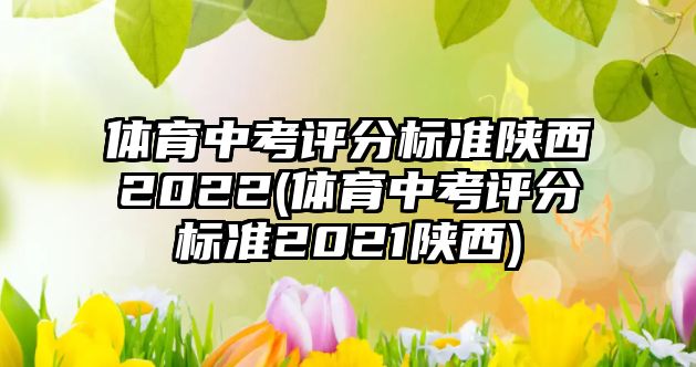 體育中考評分標準陜西2022(體育中考評分標準2021陜西)