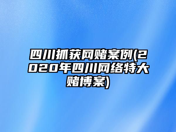 四川抓獲網(wǎng)賭案例(2020年四川網(wǎng)絡(luò)特大賭博案)