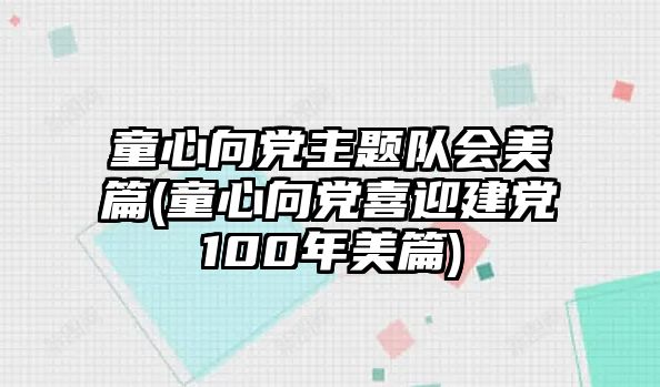 童心向黨主題隊(duì)會美篇(童心向黨喜迎建黨100年美篇)