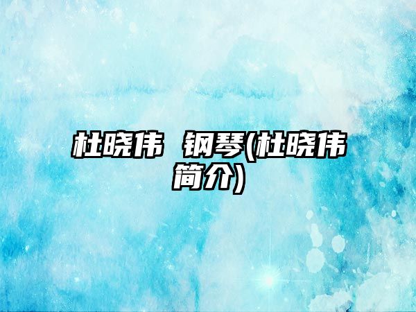 杜曉偉 鋼琴(杜曉偉簡(jiǎn)介)