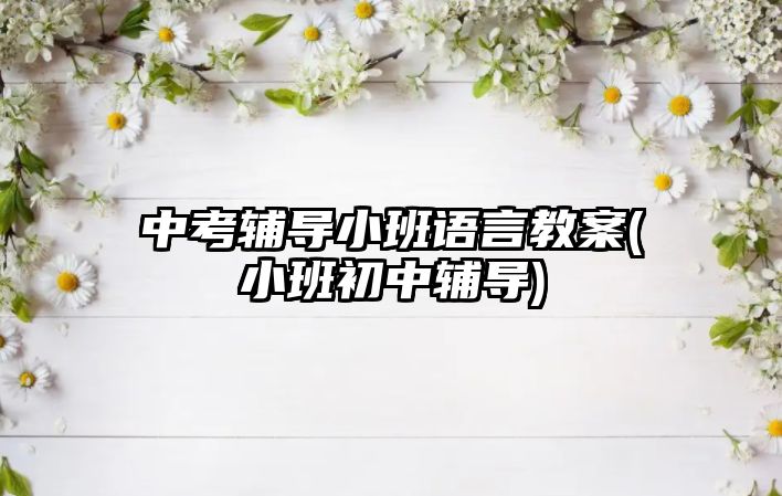 中考輔導(dǎo)小班語言教案(小班初中輔導(dǎo))