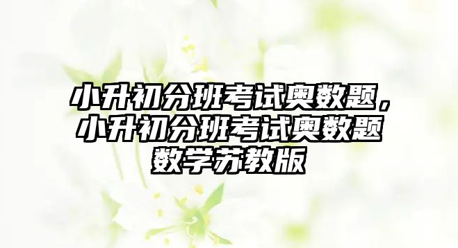 小升初分班考試奧數(shù)題，小升初分班考試奧數(shù)題數(shù)學蘇教版