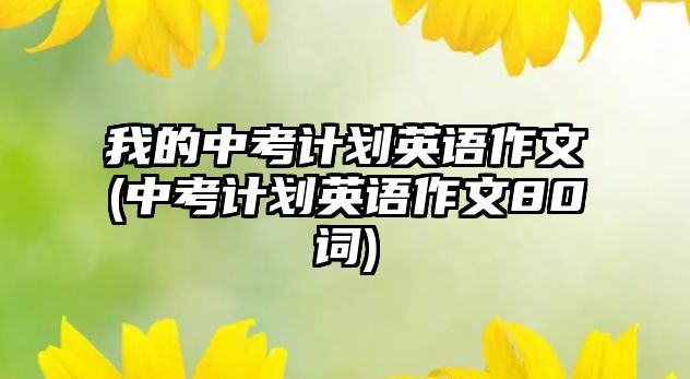 我的中考計(jì)劃英語(yǔ)作文(中考計(jì)劃英語(yǔ)作文80詞)