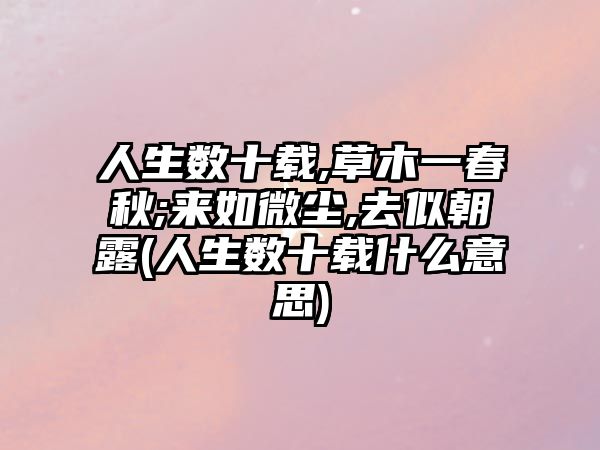 人生數(shù)十載,草木一春秋;來如微塵,去似朝露(人生數(shù)十載什么意思)