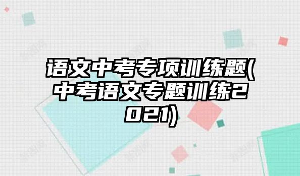 語文中考專項(xiàng)訓(xùn)練題(中考語文專題訓(xùn)練2021)