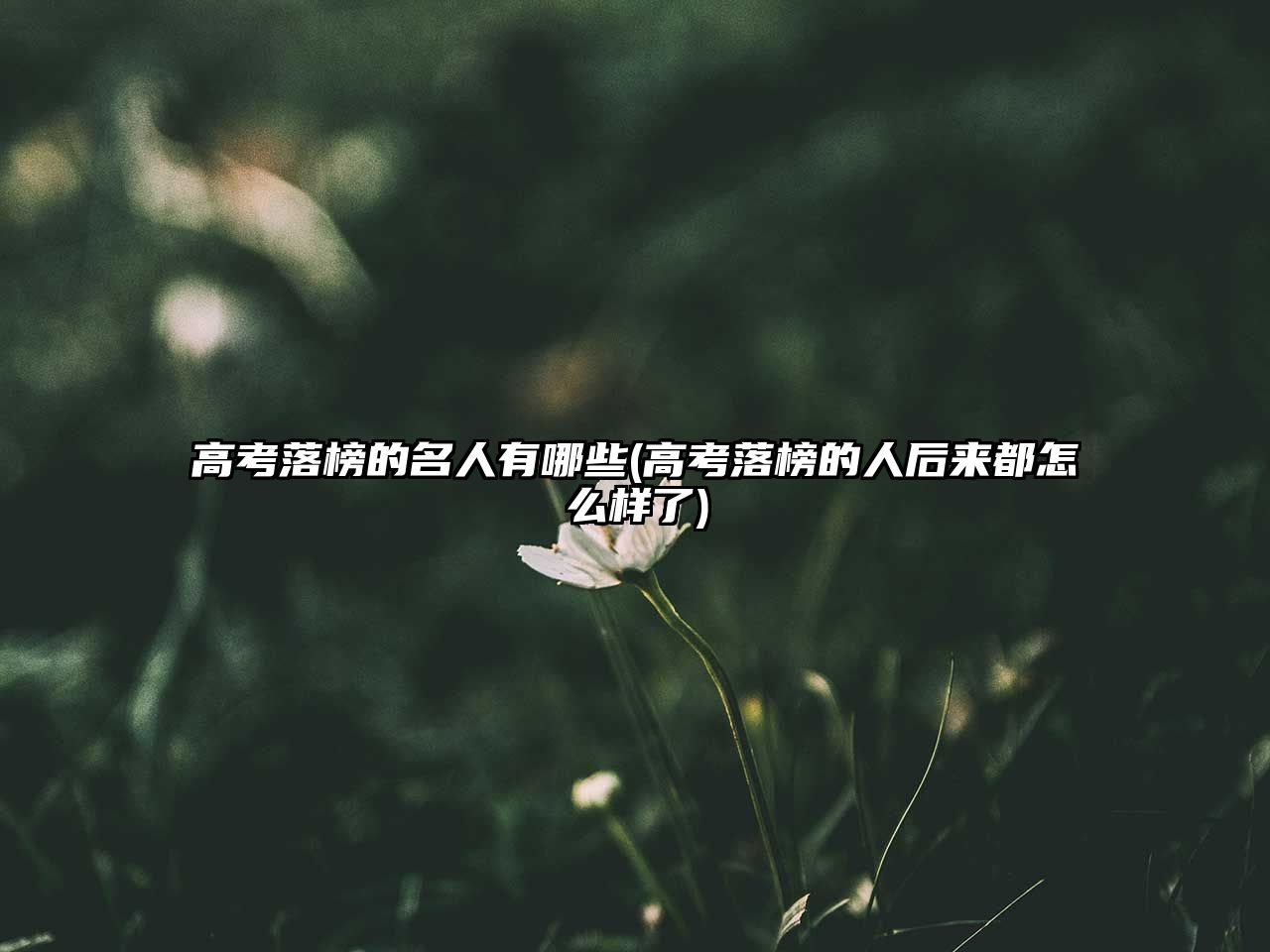 高考落榜的名人有哪些(高考落榜的人后來都怎么樣了)