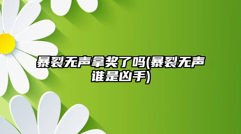 暴裂無(wú)聲拿獎(jiǎng)了嗎(暴裂無(wú)聲誰(shuí)是兇手)