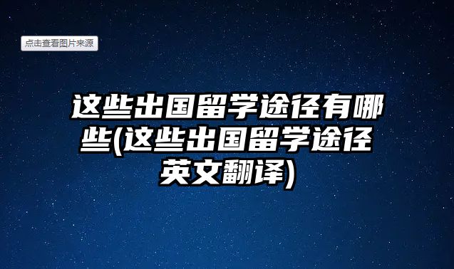 這些出國留學途徑有哪些(這些出國留學途徑英文翻譯)