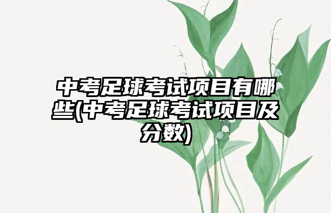 中考足球考試項目有哪些(中考足球考試項目及分數(shù))