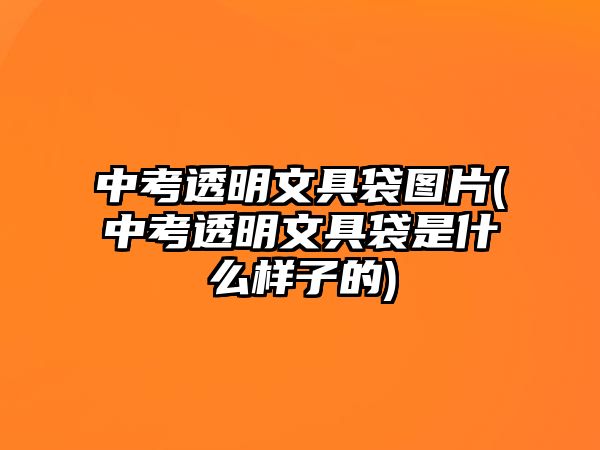 中考透明文具袋圖片(中考透明文具袋是什么樣子的)