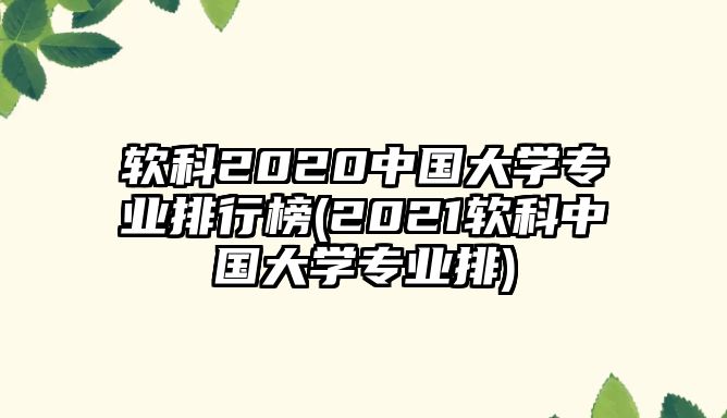 軟科2020中國大學專業(yè)排行榜(2021軟科中國大學專業(yè)排)