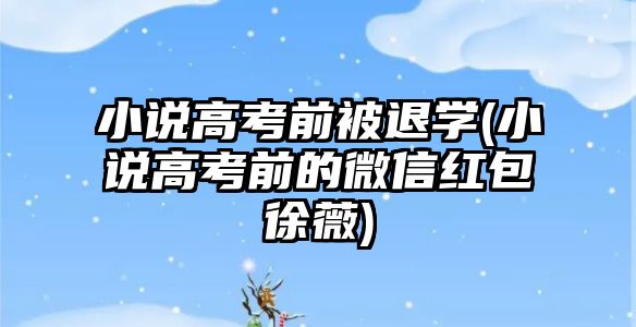 小說高考前被退學(xué)(小說高考前的微信紅包徐薇)