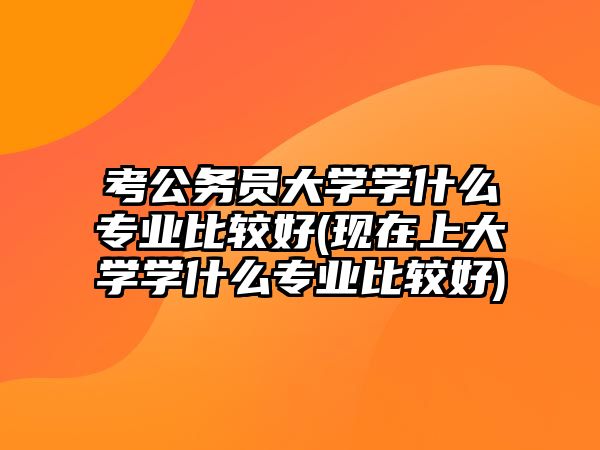 考公務(wù)員大學(xué)學(xué)什么專業(yè)比較好(現(xiàn)在上大學(xué)學(xué)什么專業(yè)比較好)