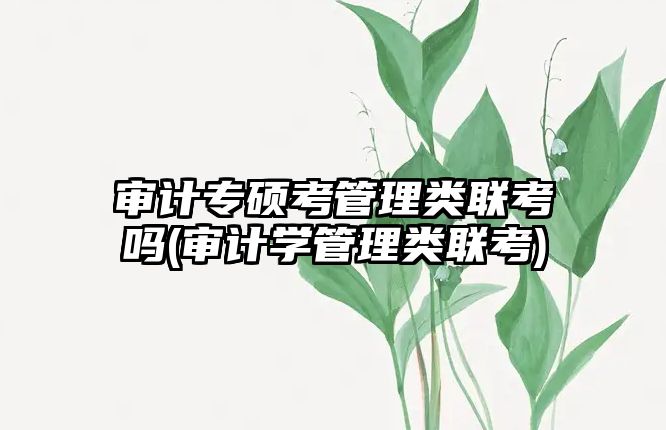 審計專碩考管理類聯(lián)考嗎(審計學管理類聯(lián)考)