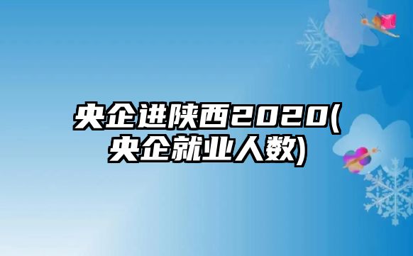 央企進(jìn)陜西2020(央企就業(yè)人數(shù))