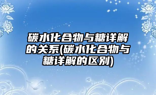 碳水化合物與糖詳解的關(guān)系(碳水化合物與糖詳解的區(qū)別)