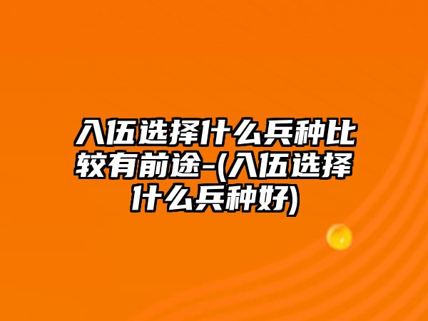 入伍選擇什么兵種比較有前途-(入伍選擇什么兵種好)