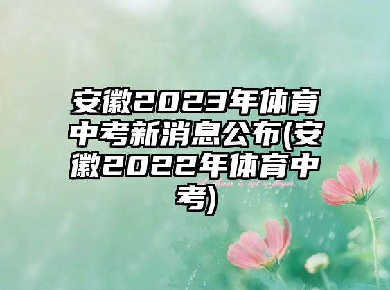 安徽2023年體育中考新消息公布(安徽2022年體育中考)