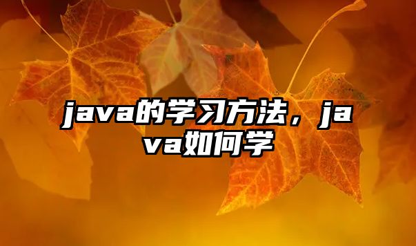 java的學(xué)習(xí)方法，java如何學(xué)