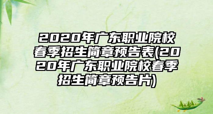 2020年廣東職業(yè)院校春季招生簡(jiǎn)章預(yù)告表(2020年廣東職業(yè)院校春季招生簡(jiǎn)章預(yù)告片)