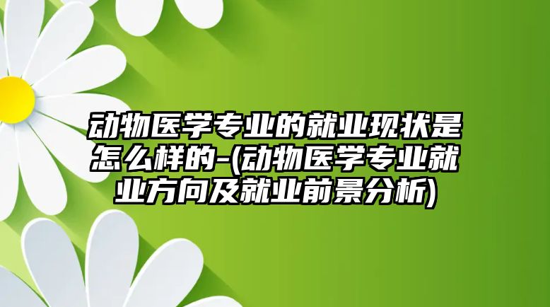 動物醫(yī)學專業(yè)的就業(yè)現(xiàn)狀是怎么樣的-(動物醫(yī)學專業(yè)就業(yè)方向及就業(yè)前景分析)