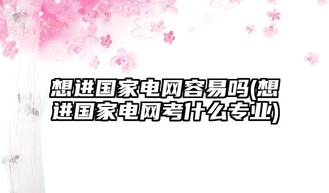 想進(jìn)國(guó)家電網(wǎng)容易嗎(想進(jìn)國(guó)家電網(wǎng)考什么專(zhuān)業(yè))