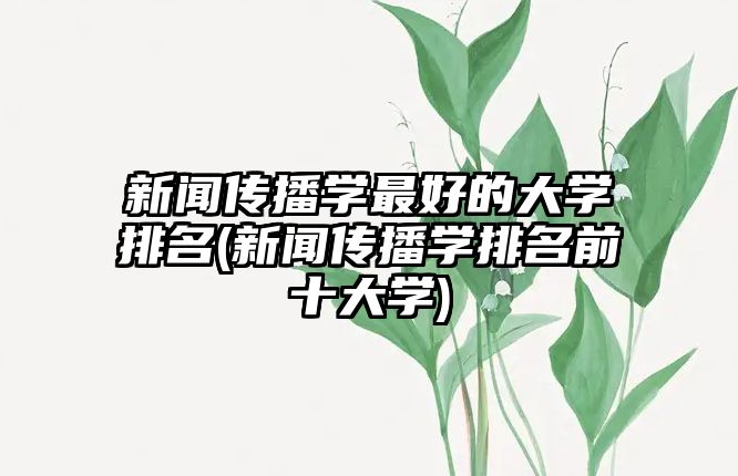 新聞傳播學(xué)最好的大學(xué)排名(新聞傳播學(xué)排名前十大學(xué))