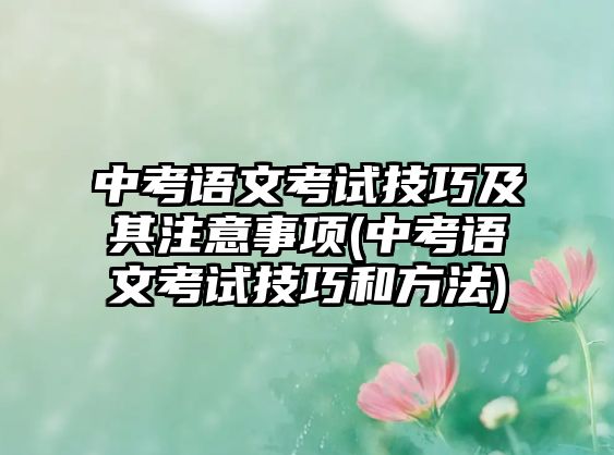 中考語文考試技巧及其注意事項(xiàng)(中考語文考試技巧和方法)