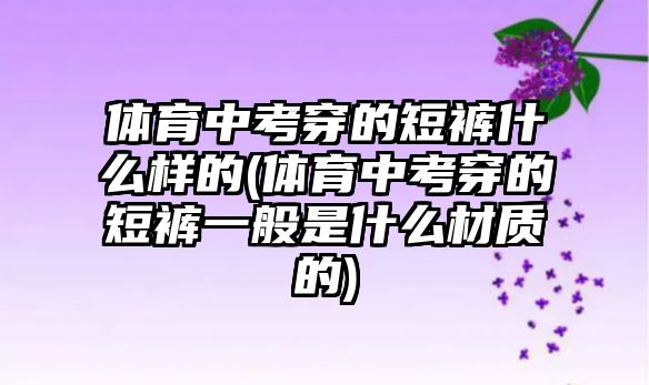 體育中考穿的短褲什么樣的(體育中考穿的短褲一般是什么材質(zhì)的)